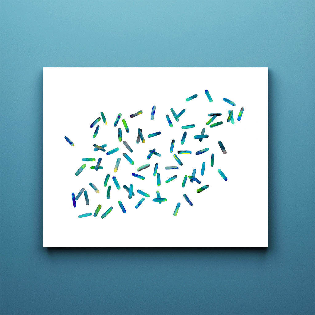 Bacillus 7,[product type] - Sandra Black Science Art