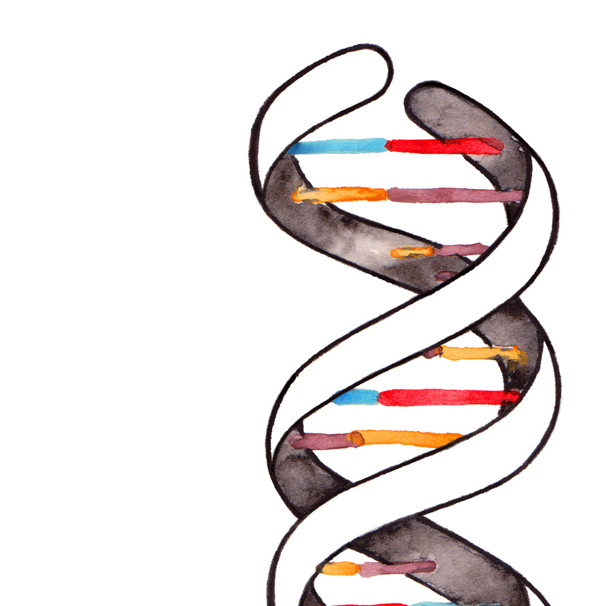 DNA double helix print detail with paper texture up close.