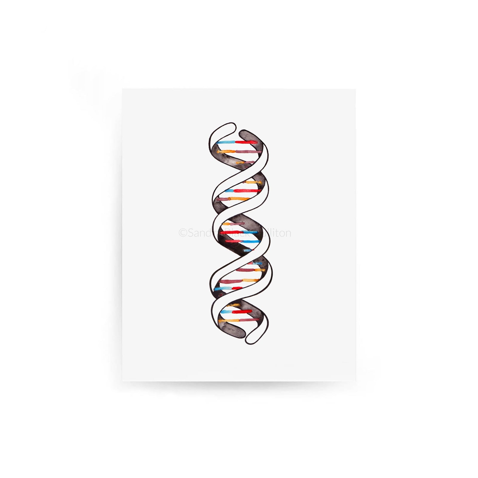DNA double helix print on paper against white background.