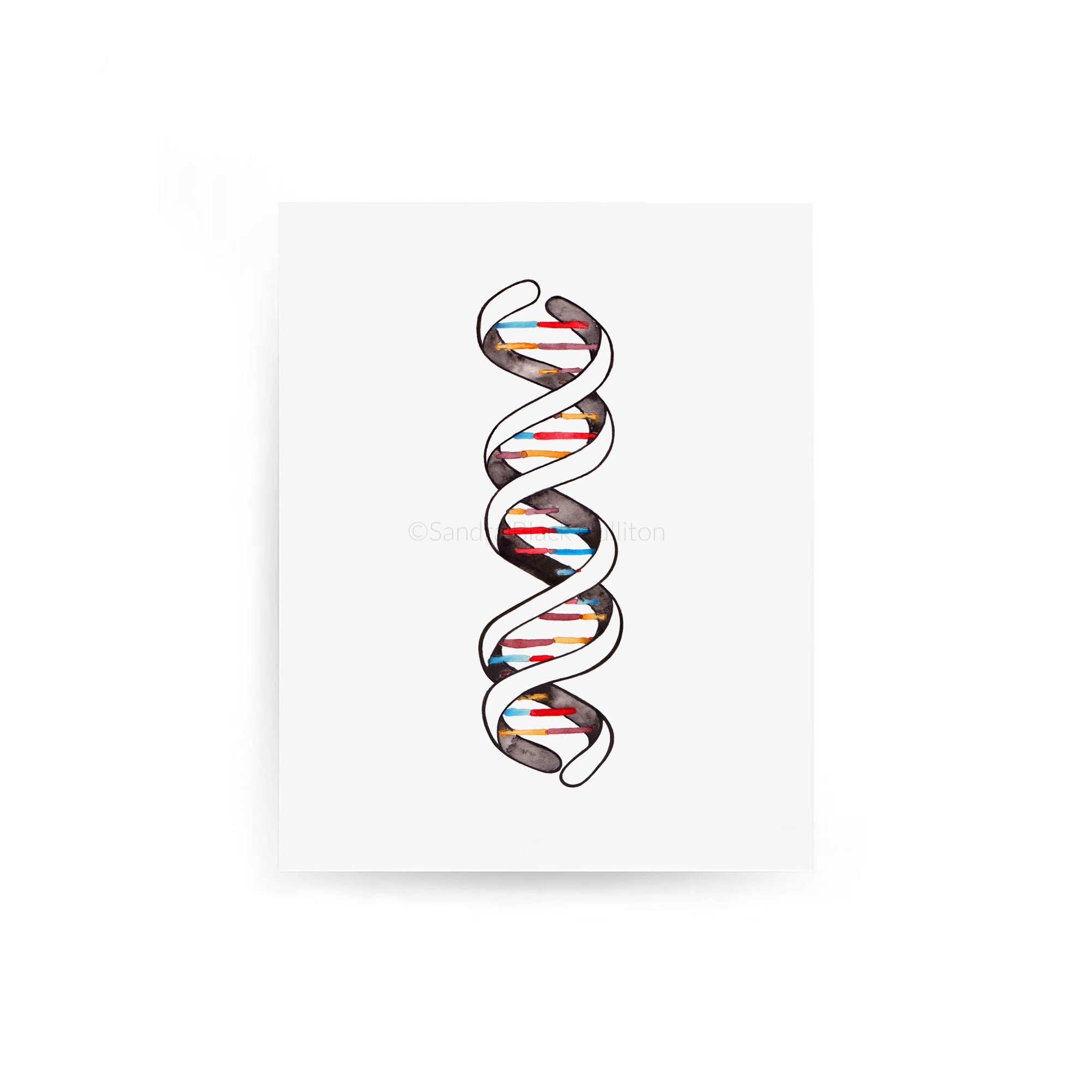 DNA double helix print in light wooden frame.