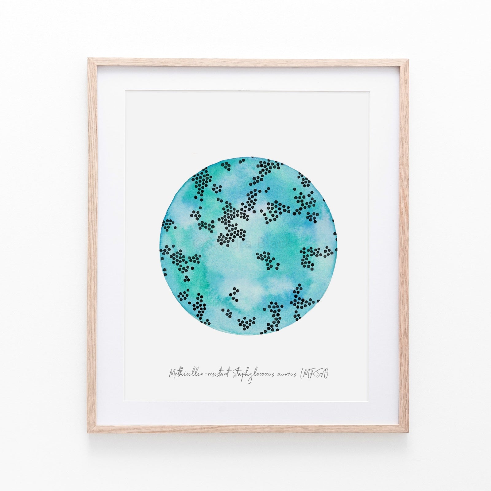 MRSA print in a wooden frame