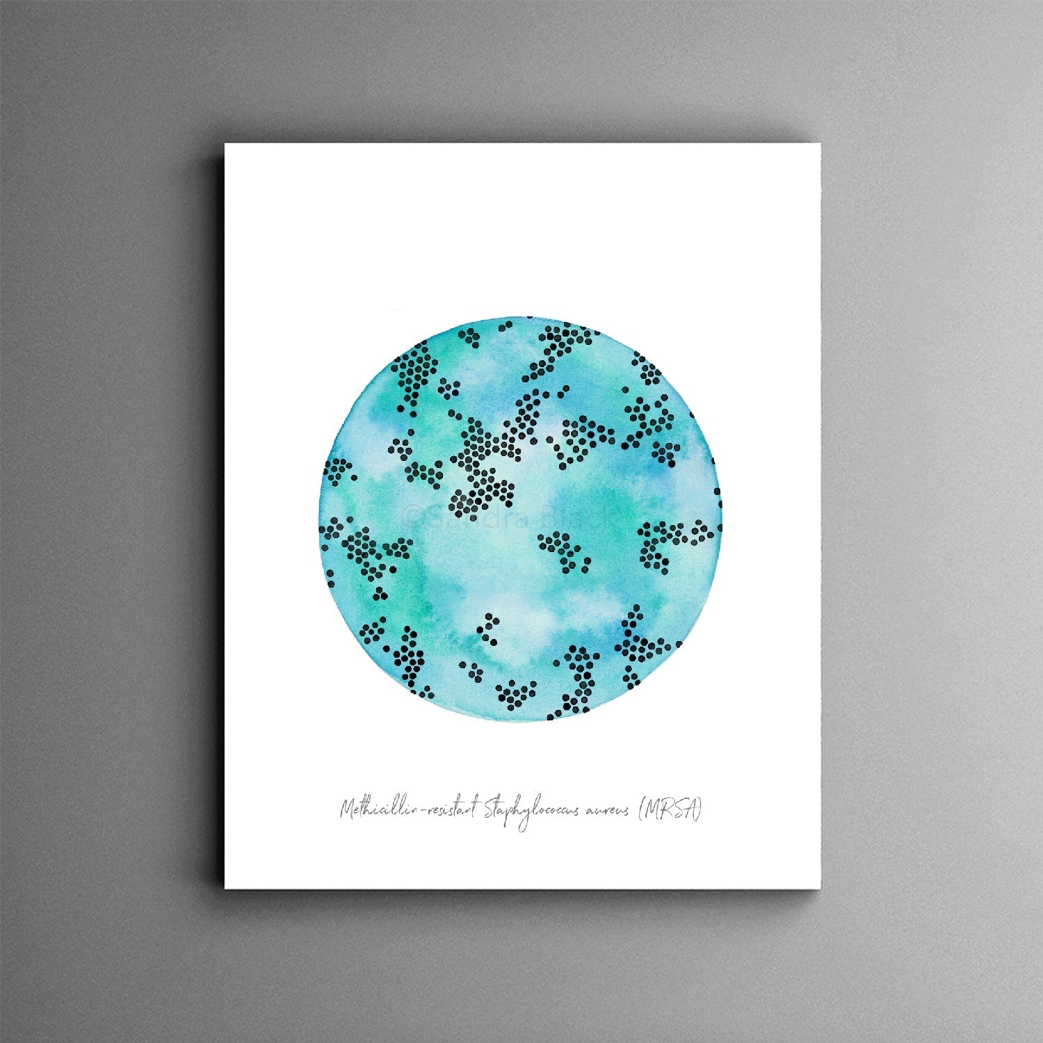MRSA print