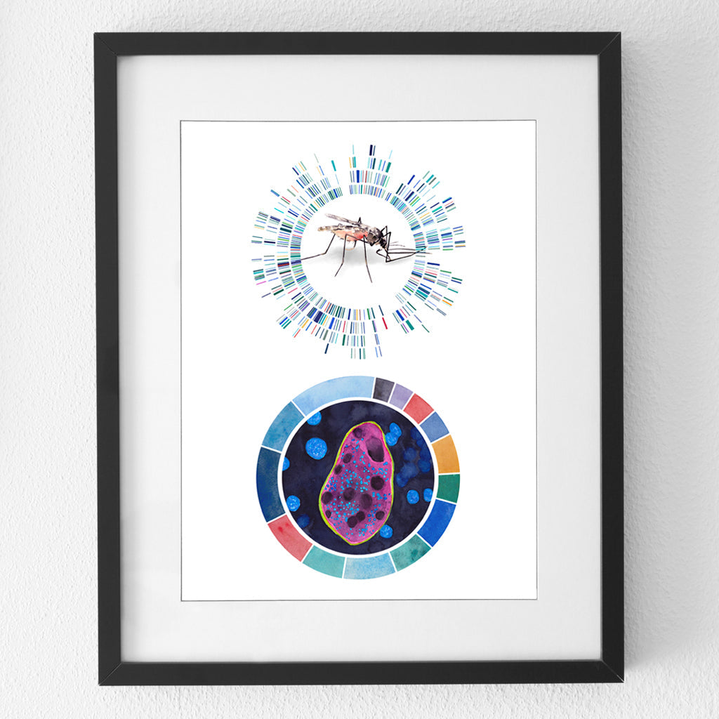 fine art print of malaria organisms.