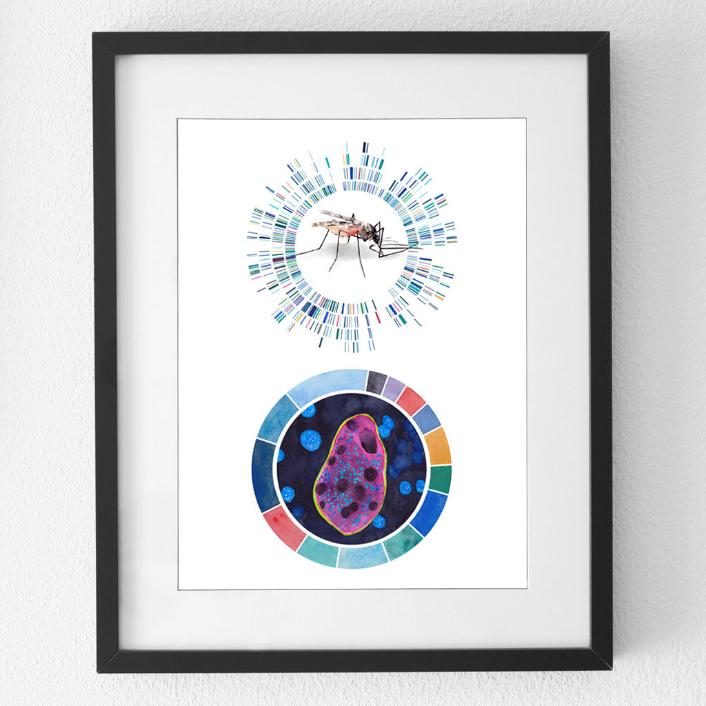 Malaria Profile art print
