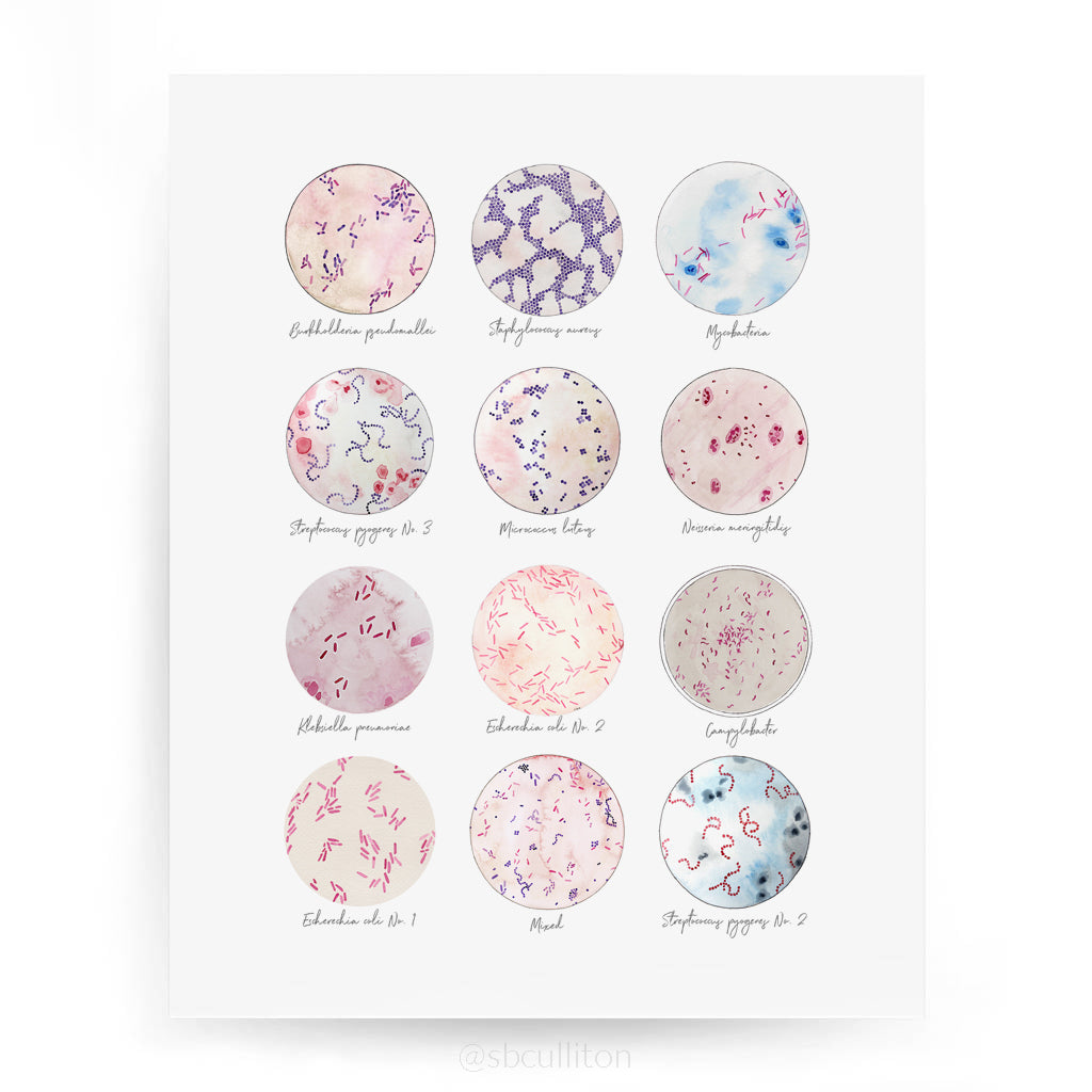 Microbe Collection,[product type] - Sandra Black Science Art
