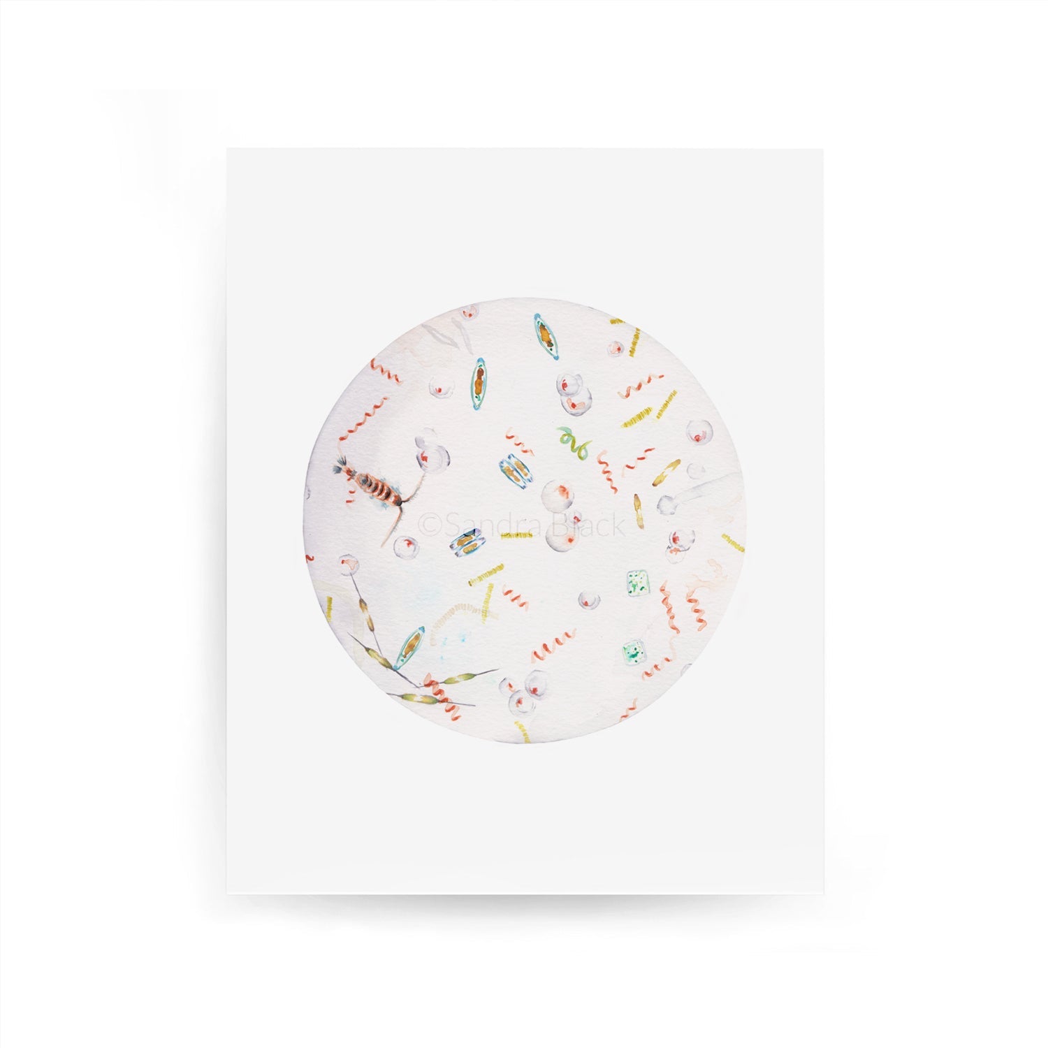 Seawater print