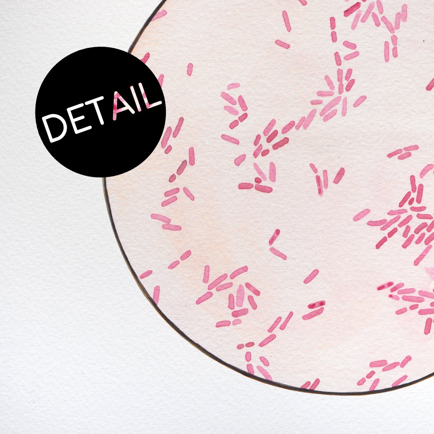 Serratia bacteria print detail