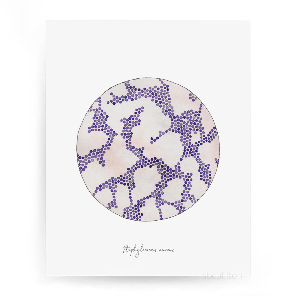 Staph aureus print against white background.
