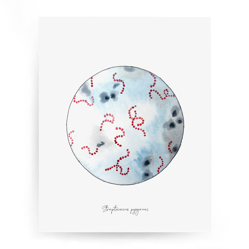 Streptococcus pyogenes art print