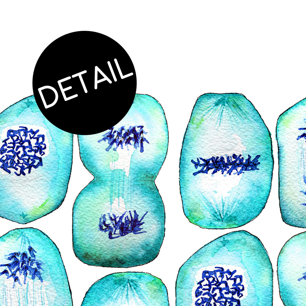 Mitosis fine art print detail.
