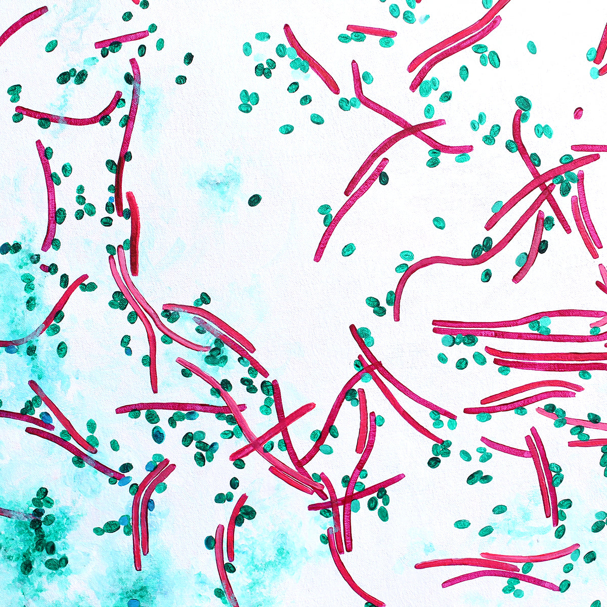 Bacteriology Prints