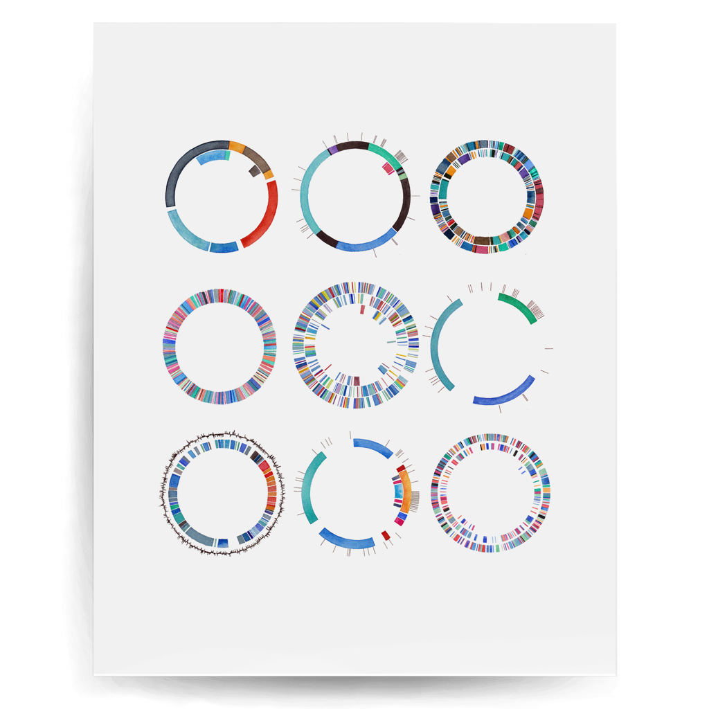 Plasmid Collection
