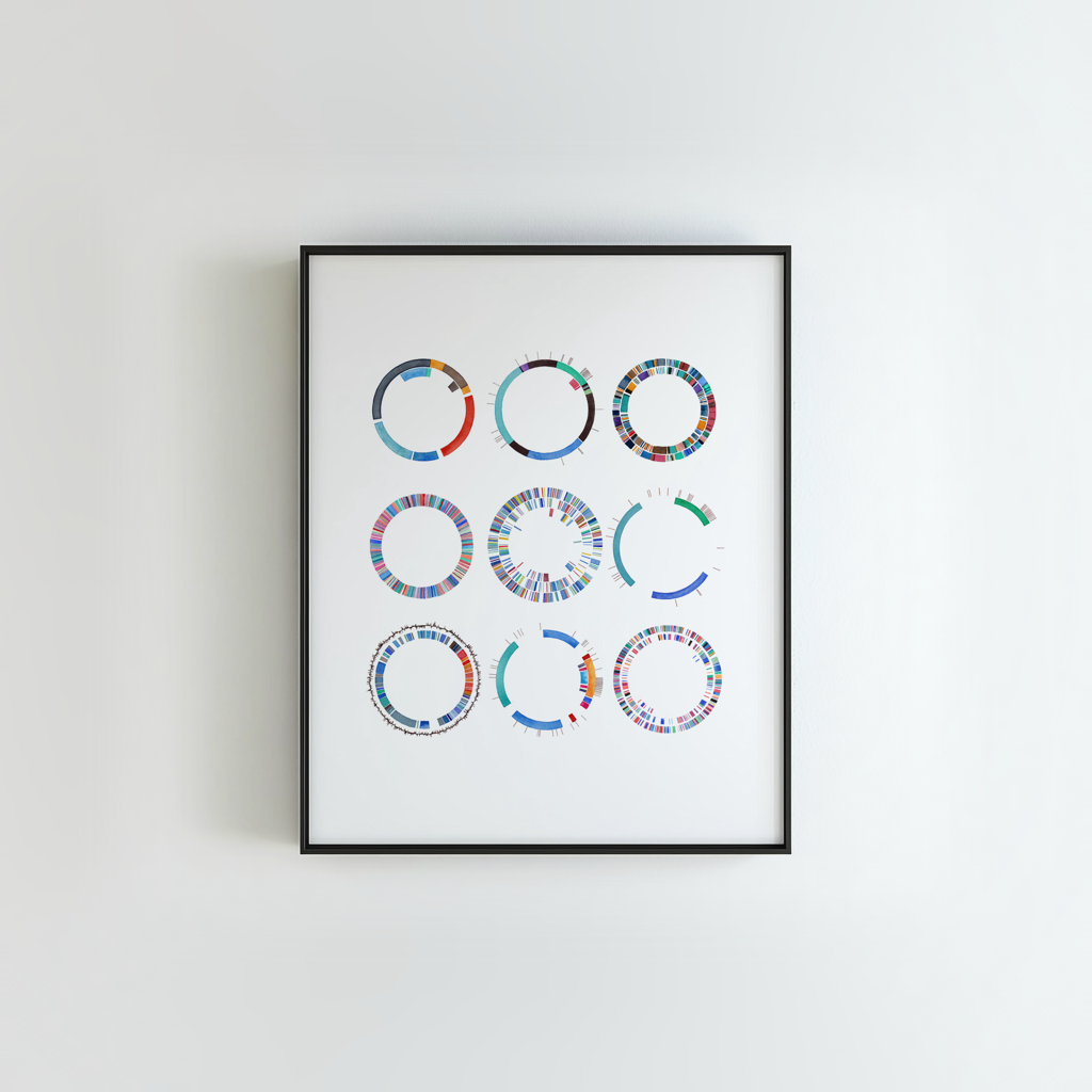 Framed artwork with colorful circular genetic plasmids, hanging on a white wall. 
