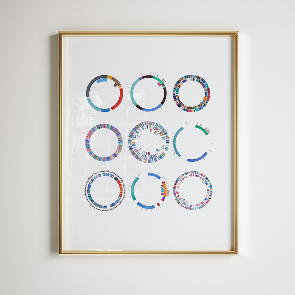 Plasmid Collection