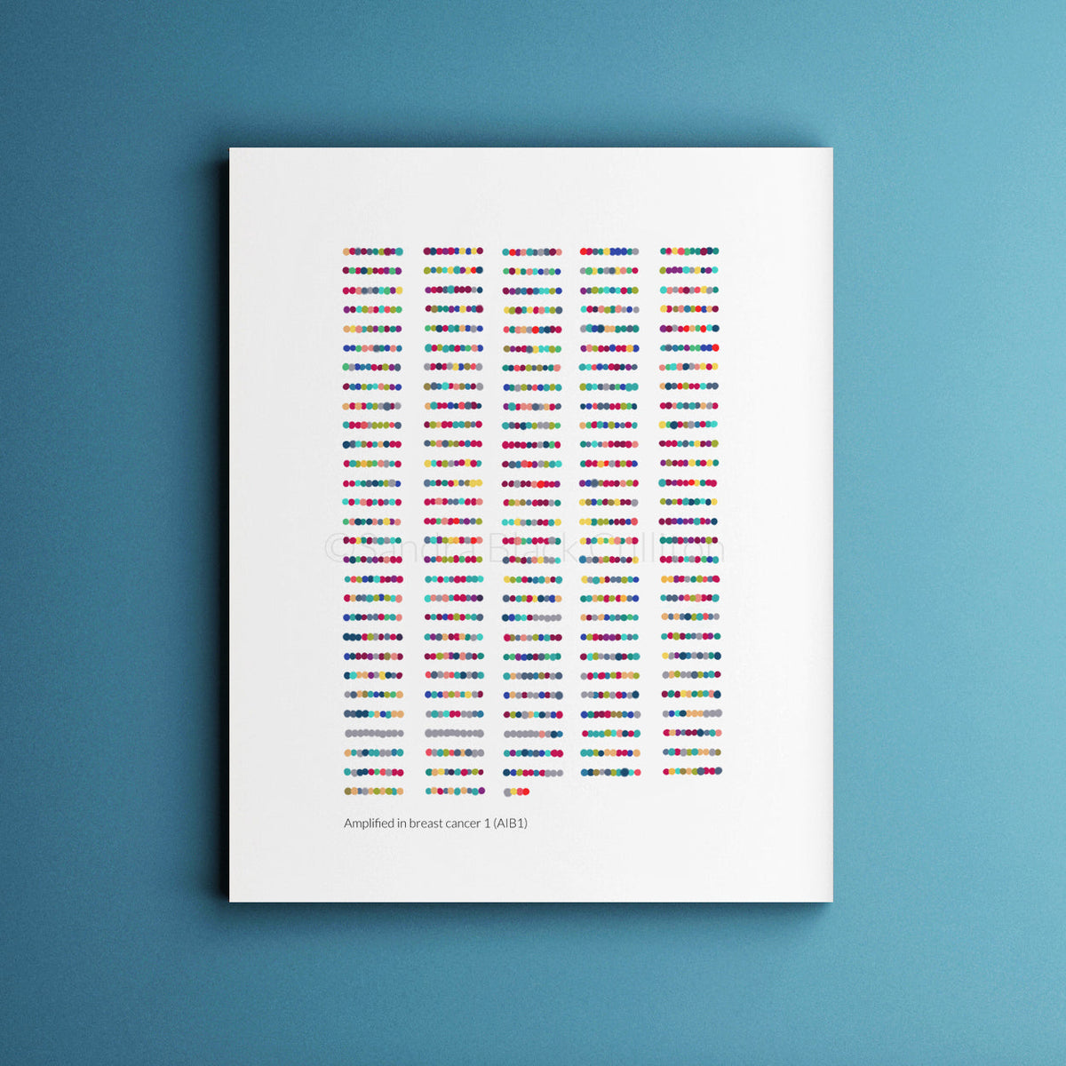 AIB1 sequence fine art print