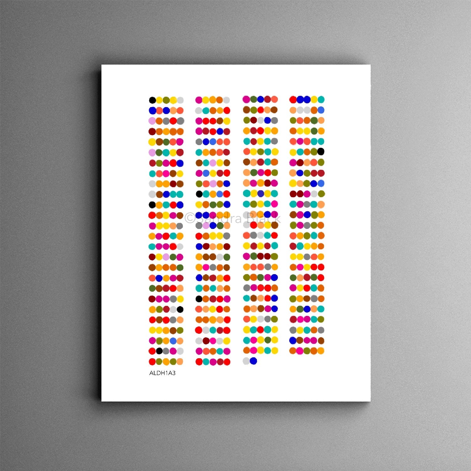 ALDH1A3 print