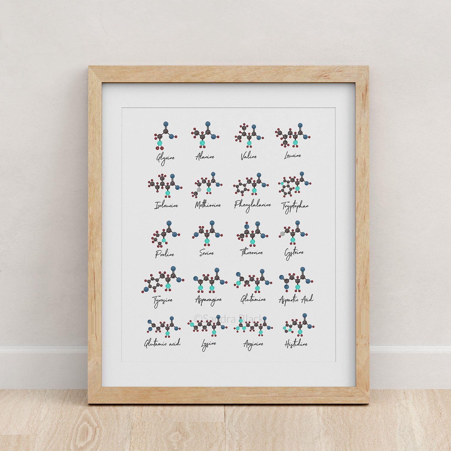 Amino Acids,[product type] - Sandra Black Science Art