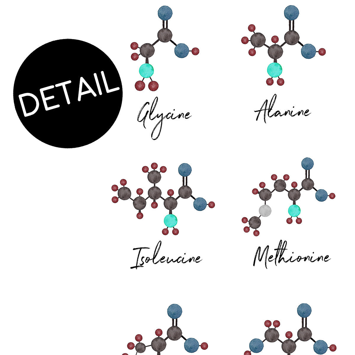 Amino Acids,[product type] - Sandra Black Science Art