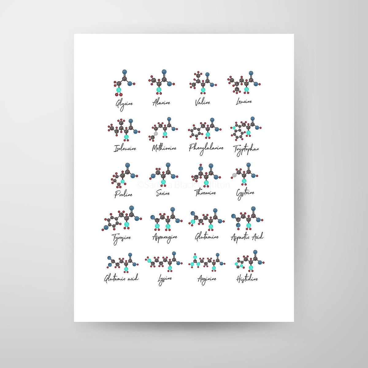 Amino Acids,[product type] - Sandra Black Science Art