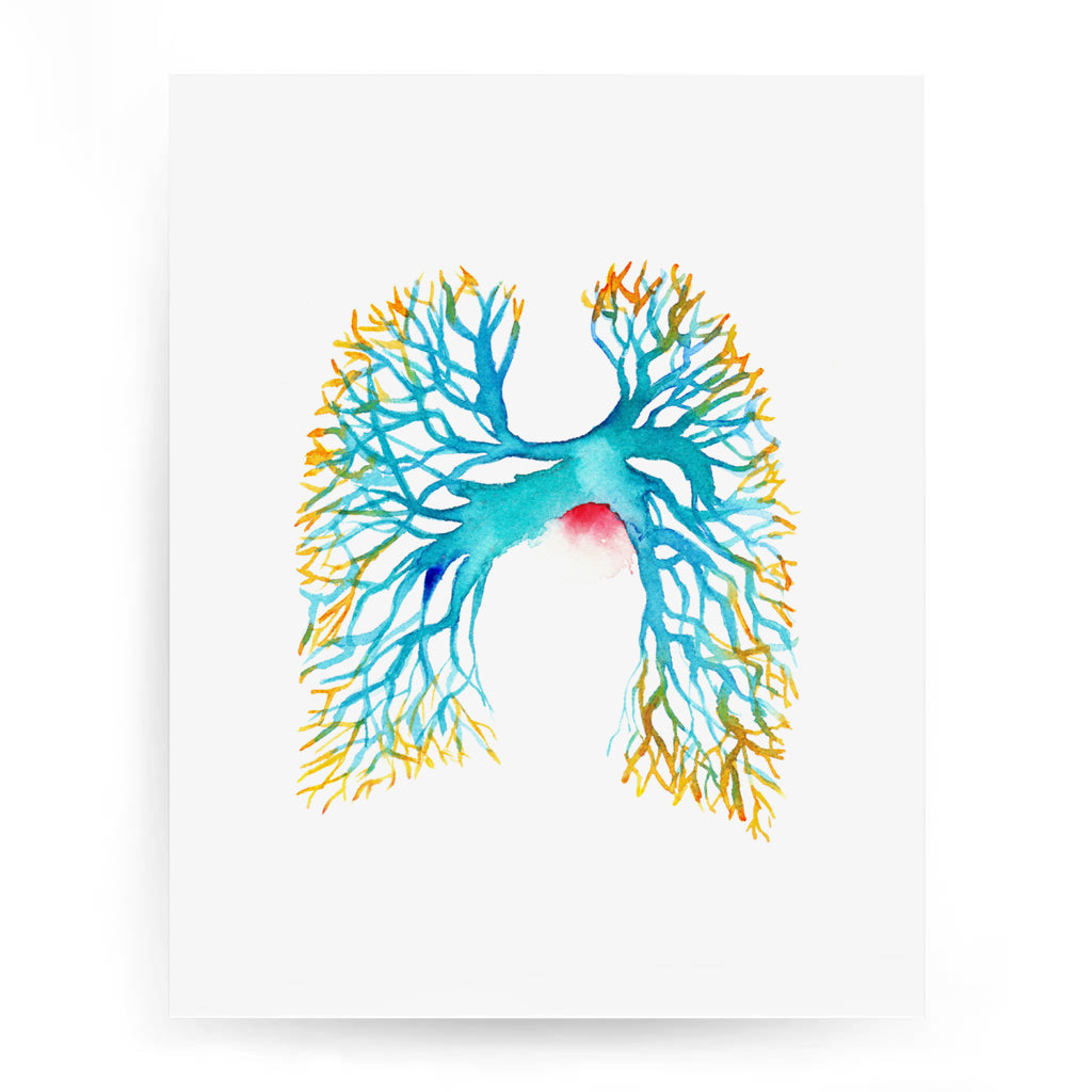 Pulmonary Angiogram,[product type] - Sandra Black Science Art