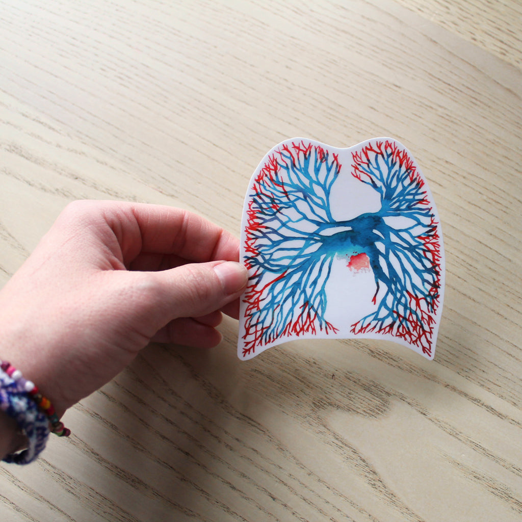 Angiogram Vinyl Sticker - Sandra Black Culliton