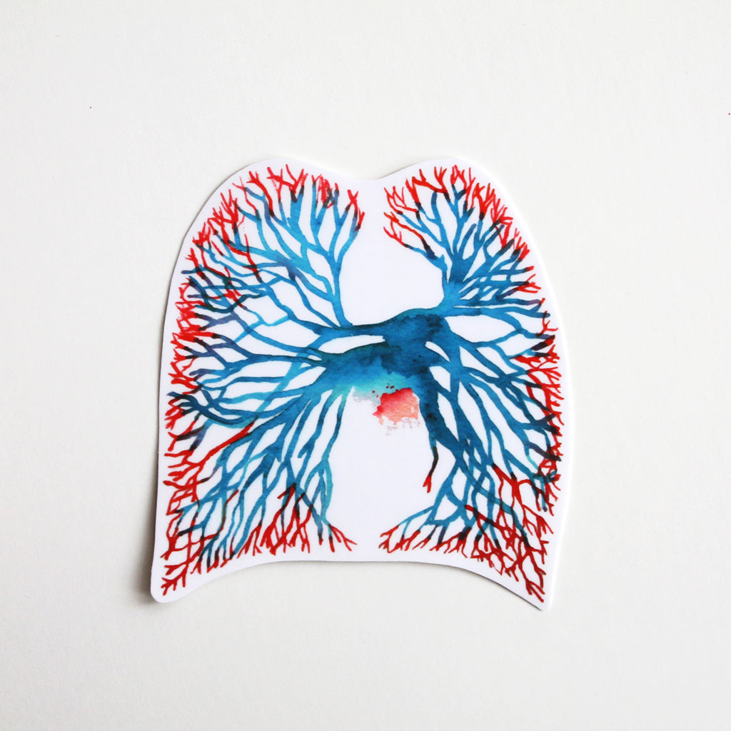 Angiogram Vinyl Sticker - Sandra Black Culliton