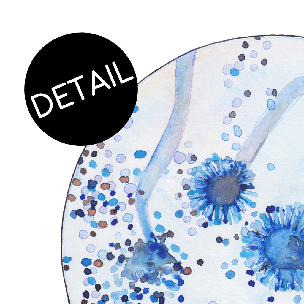 Aspergillus niger,[product type] - Sandra Black Science Art