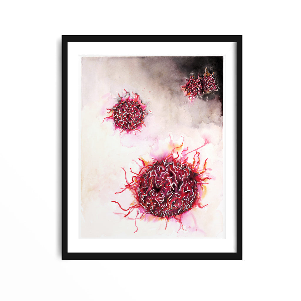 B cells,[product type] - Sandra Black Science Art