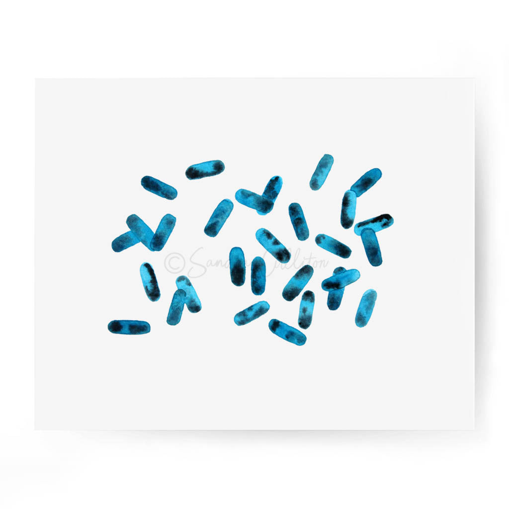 Bacillus 5,[product type] - Sandra Black Science Art