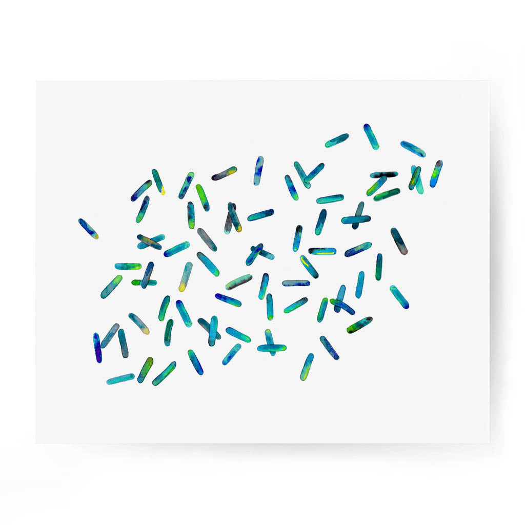 Bacillus 7,[product type] - Sandra Black Science Art