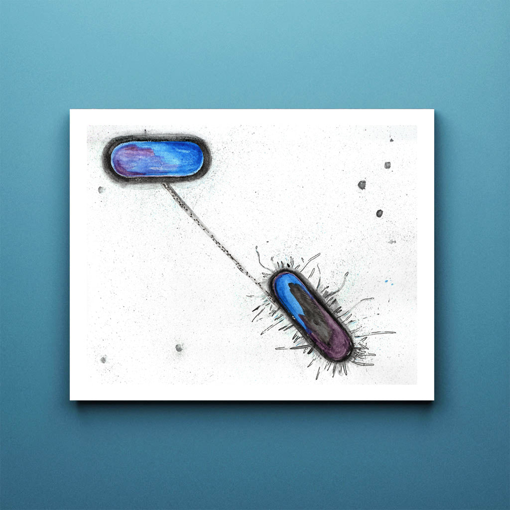 Bacterial Conjugation,[product type] - Sandra Black Science Art