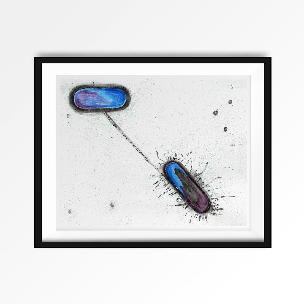 Bacterial Conjugation,[product type] - Sandra Black Science Art