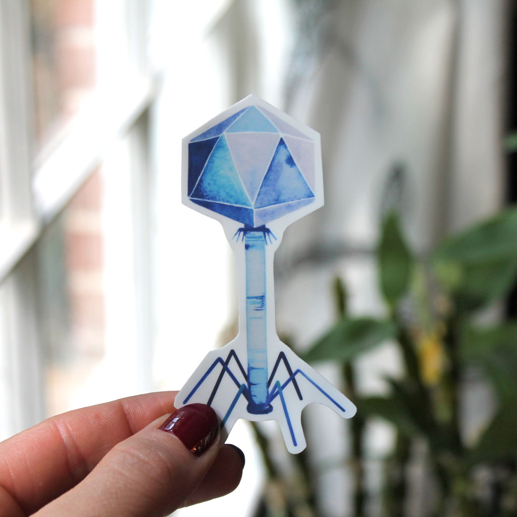 Bacteriophage Vinyl Sticker - Sandra Black Culliton