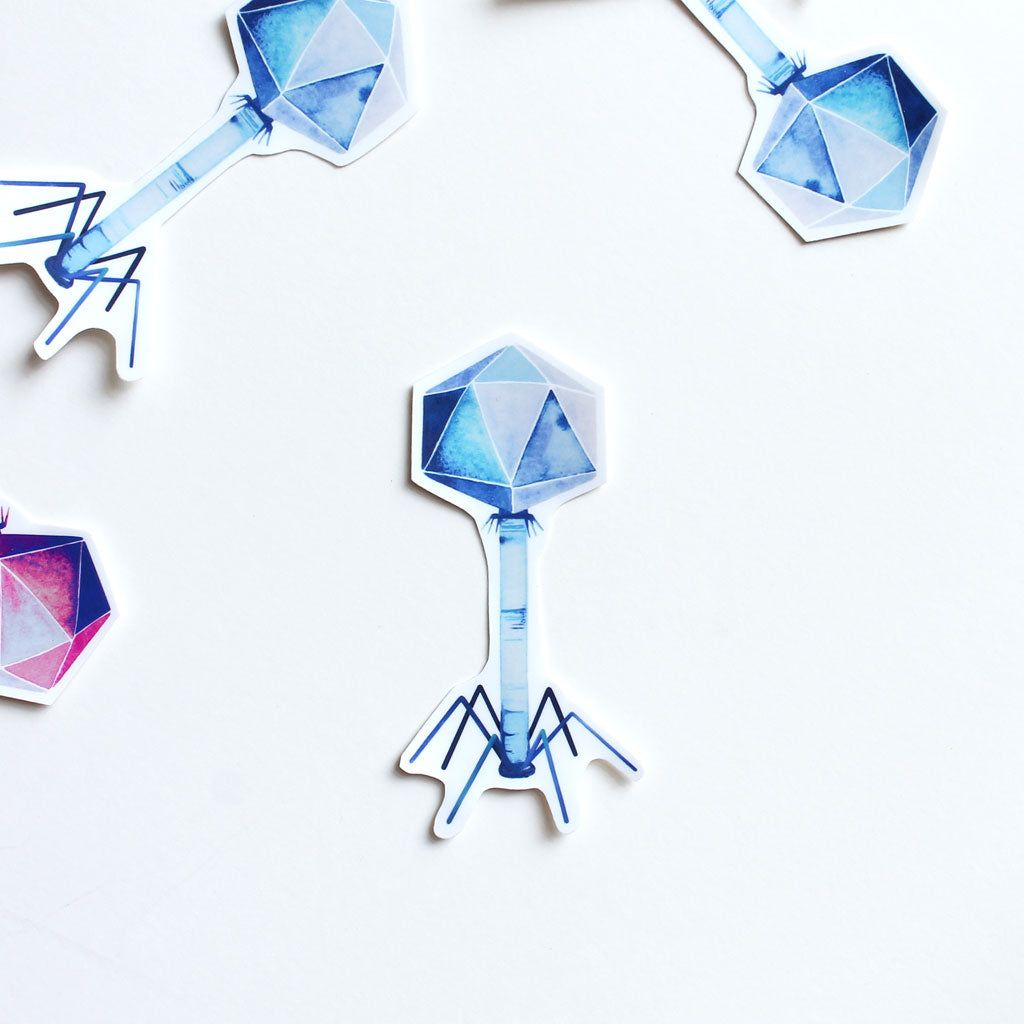 Bacteriophage Vinyl Sticker - Sandra Black Culliton