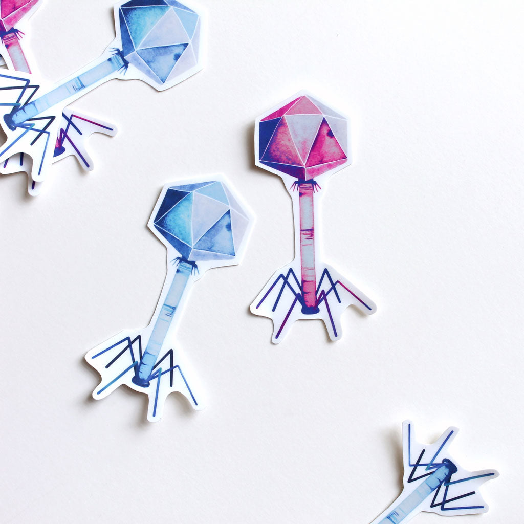 Bacteriophage Vinyl Sticker - Sandra Black Culliton