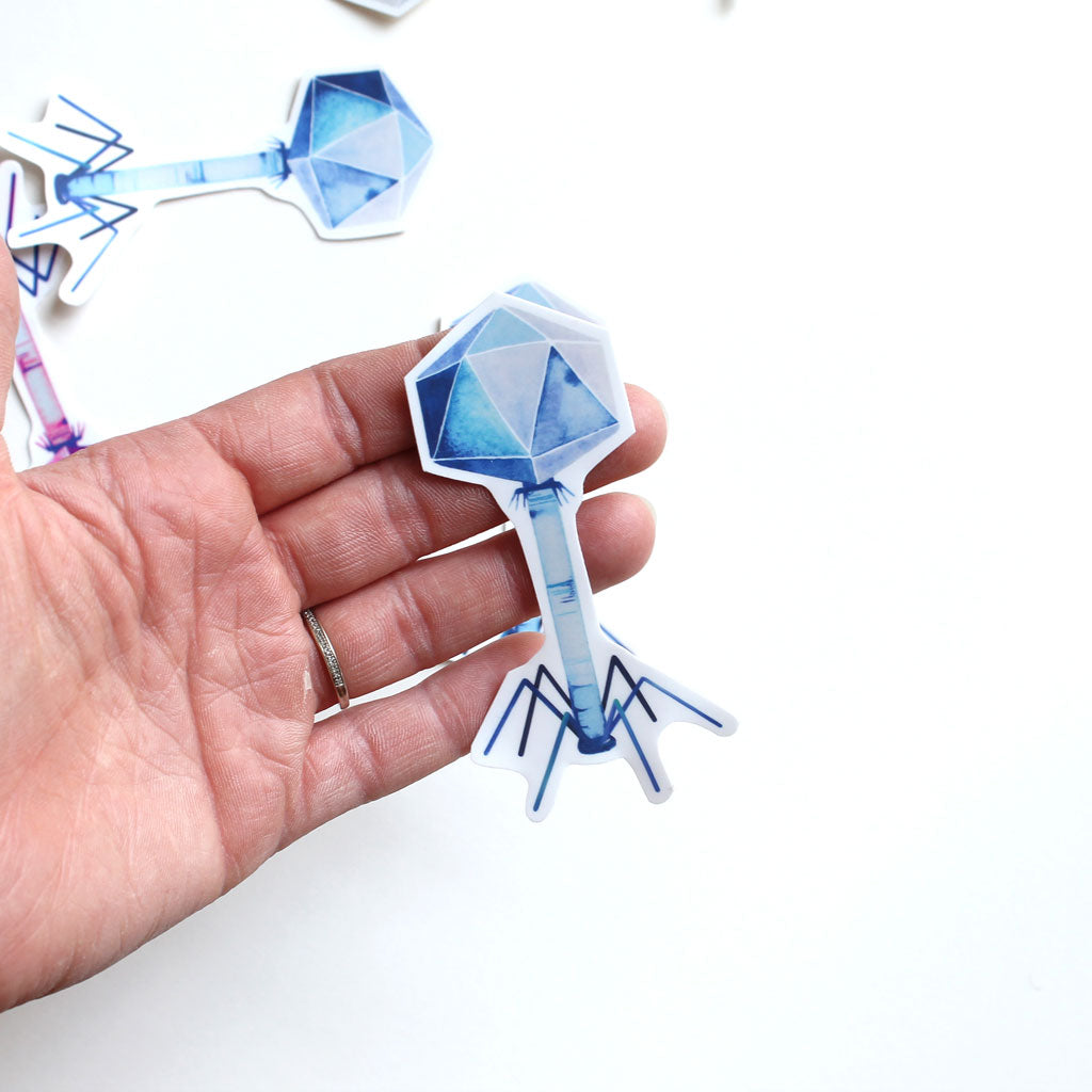 Bacteriophage Vinyl Sticker - Sandra Black Culliton