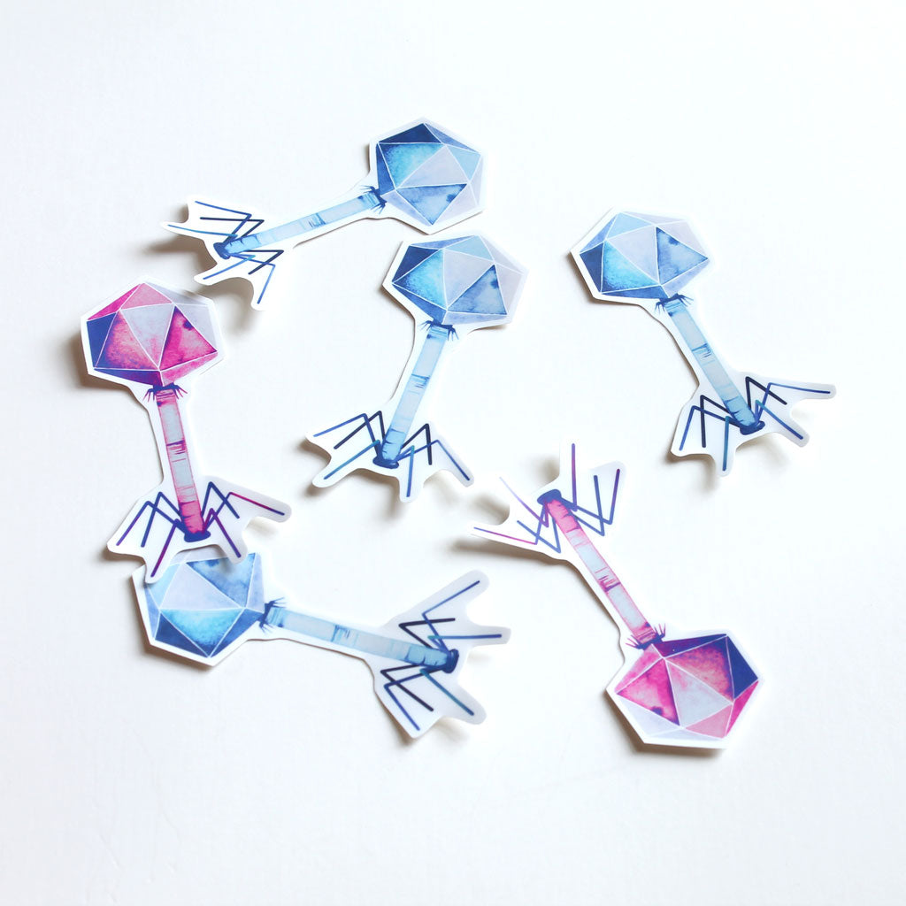 Bacteriophage Vinyl Sticker - Sandra Black Culliton
