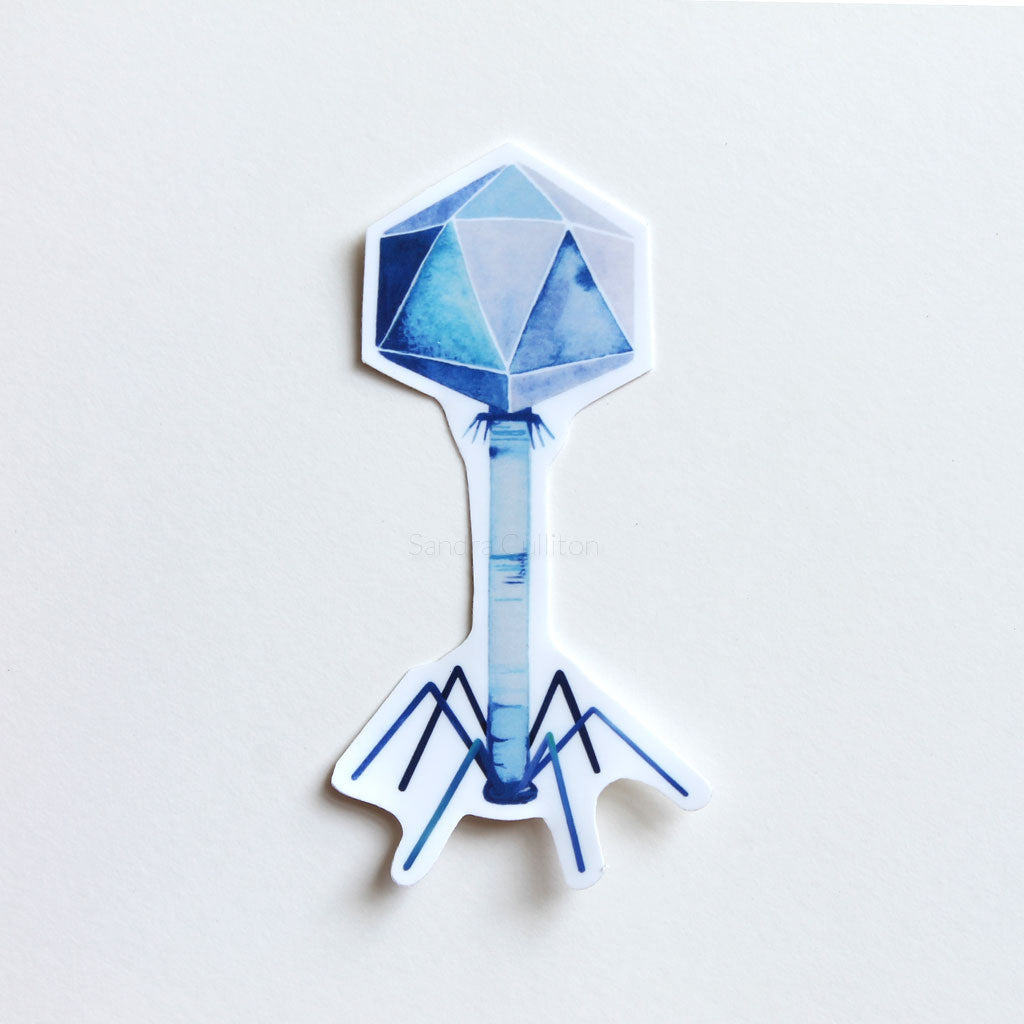 Bacteriophage Vinyl Sticker - Sandra Black Culliton