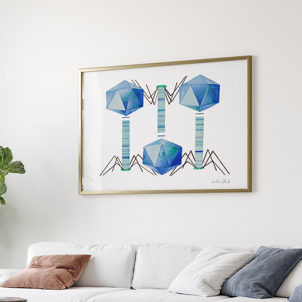Bacteriophage,[product type] - Sandra Black Science Art