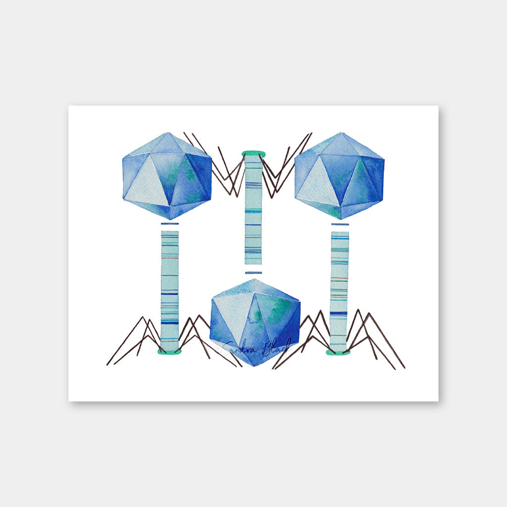 Bacteriophage,[product type] - Sandra Black Science Art