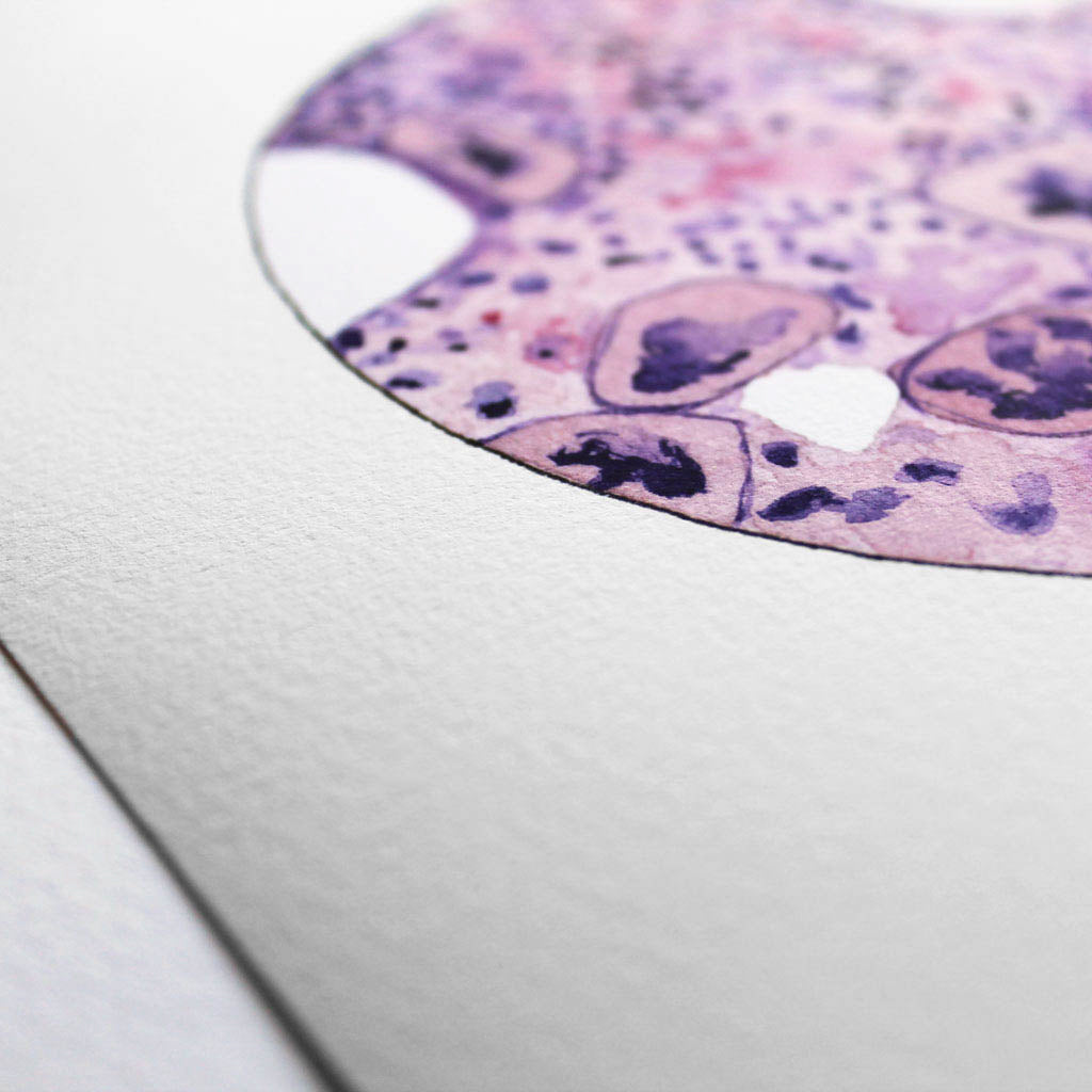 Bone Marrow 2,[product type] - Sandra Black Science Art