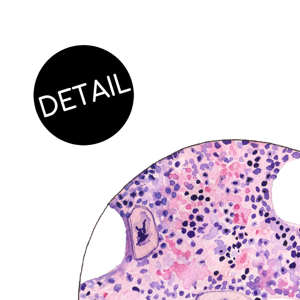 Bone Marrow 2,[product type] - Sandra Black Science Art