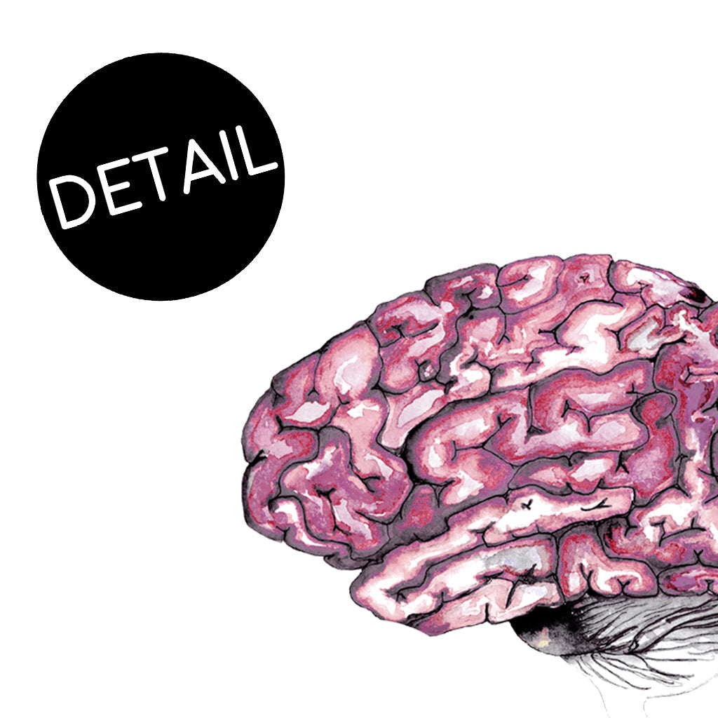 Brains,[product type] - Sandra Black Science Art