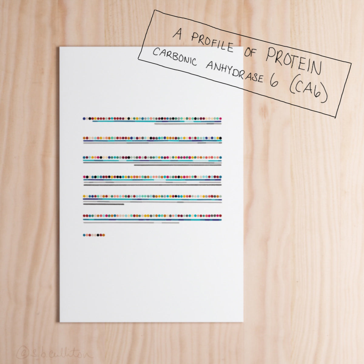 Carbonic anhydrase 6 (CA6),[product type] - Sandra Black Science Art
