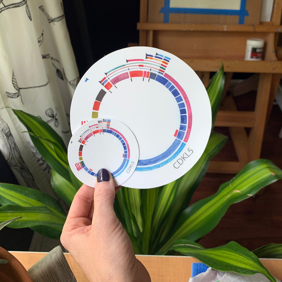 CDKL5 Gene Sticker - Sandra Black Culliton