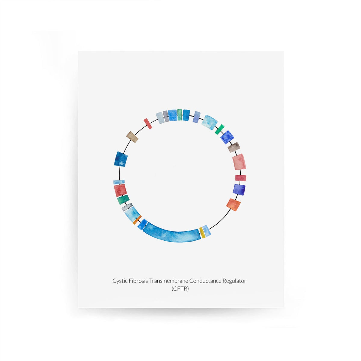 CFTR Gene Map,[product type] - Sandra Black Science Art