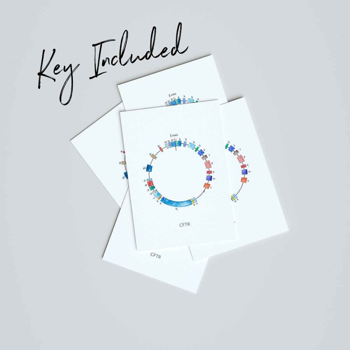 CFTR Gene Map,[product type] - Sandra Black Science Art