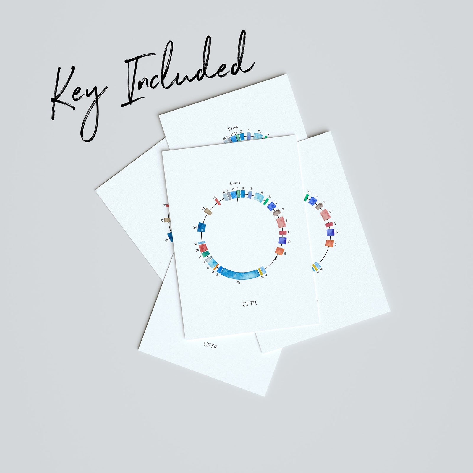 CFTR Gene Map,[product type] - Sandra Black Science Art