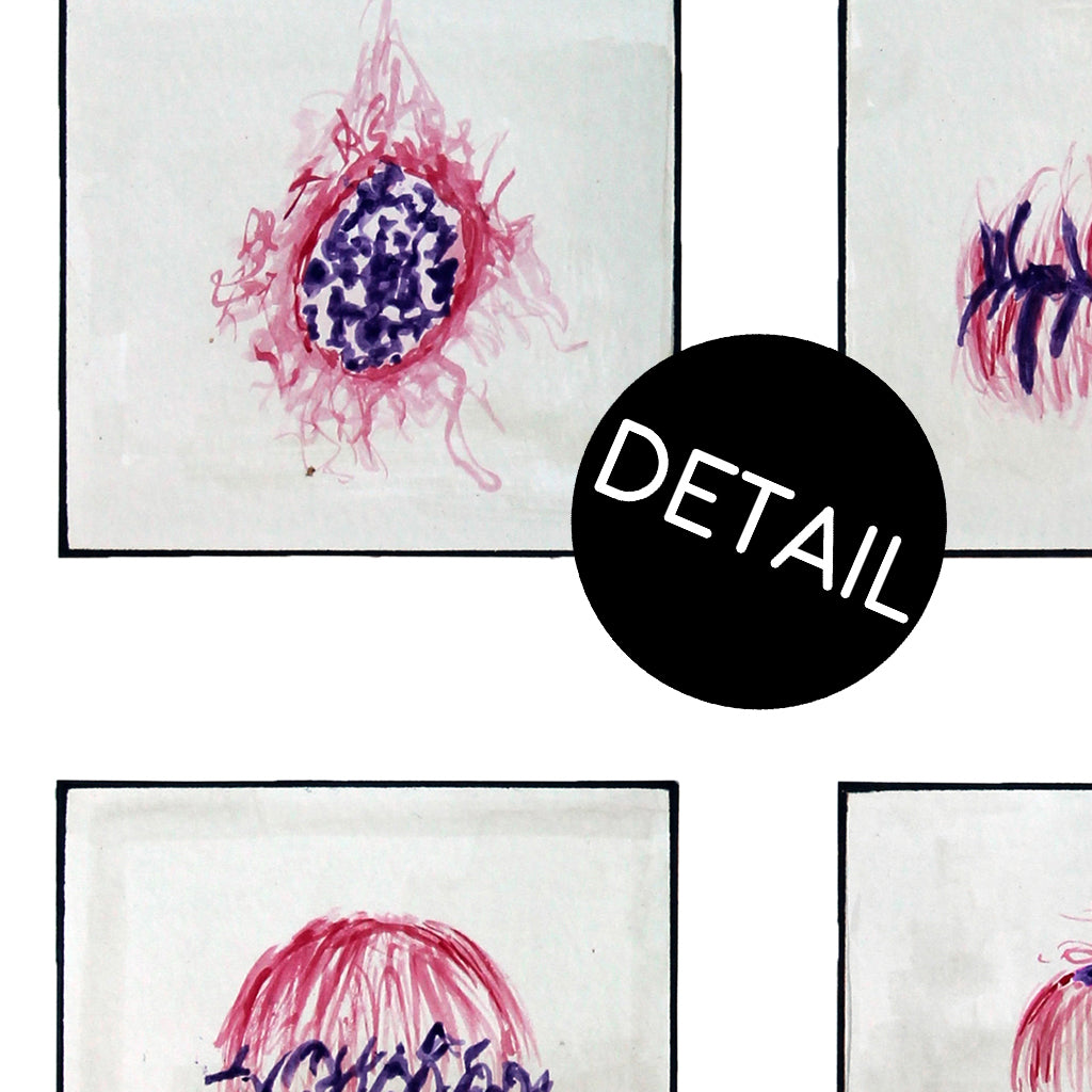 Cell Cycle,[product type] - Sandra Black Science Art