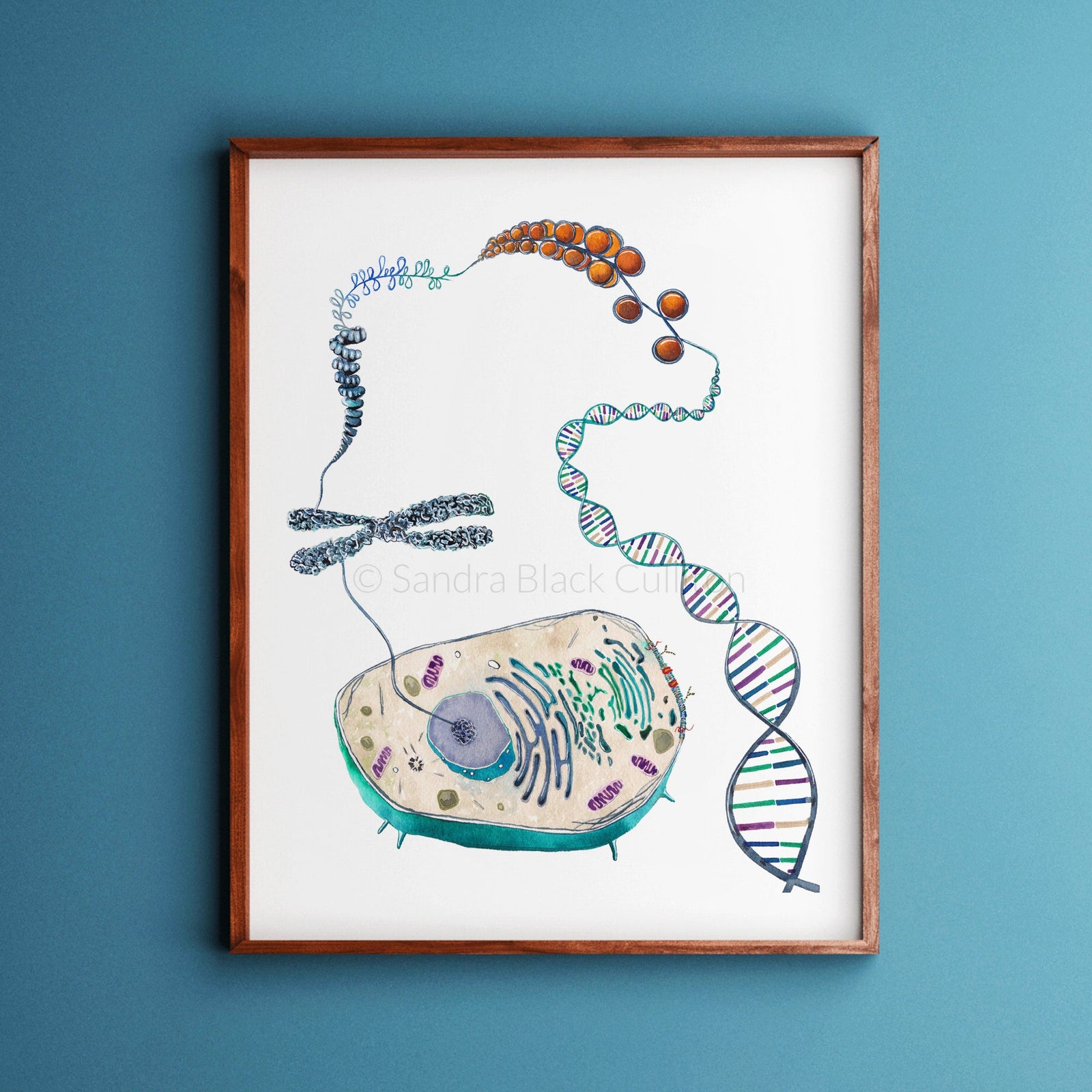 Cell to Helix,[product type] - Sandra Black Science Art